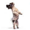 Senproco Pet Shampoo Concentrate Shedding Control Omega-5