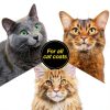 Chris Christensen Cat Shampoo Clarifying Pro Vitamin Formula-3