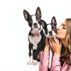 Senproco Dog Shampoo Gentle Puppy Sensitive Skin-4