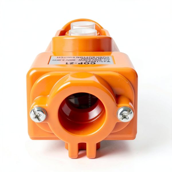 DINGTAIMEI Hoist Control Station Waterproof 250V COP-21-4