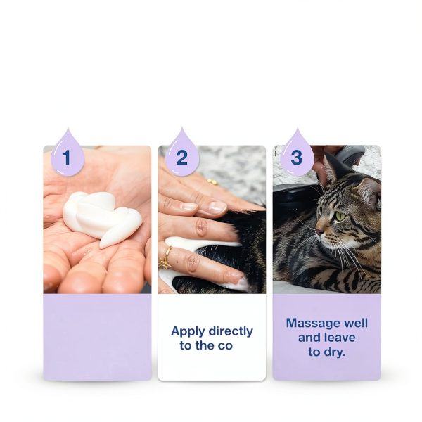 DOUXO SPA Cat Shampoo Leave-on Mousse Skin Coat Care-6