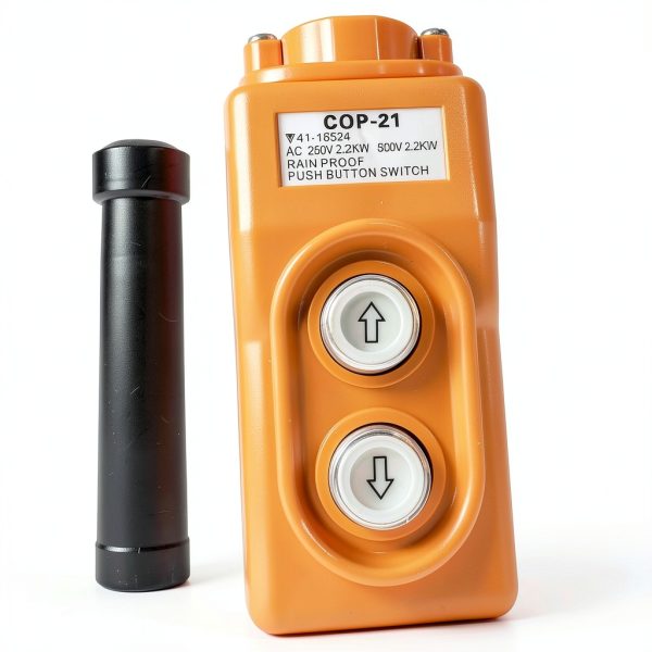 DINGTAIMEI Hoist Control Station Waterproof 250V COP-21-1