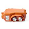 DINGTAIMEI Hoist Control Station Waterproof 250V COP-21-3