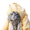 Mighty Meow Cat Shampoo Hypoallergenic Sulfate Free-4