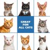 Wahl Cat Shampoo Oatmeal No Rinse pH Balanced Formula-6