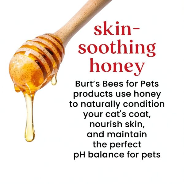 Pets People Tearless Kitten Shampoo Natural Cat Grooming-5