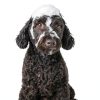 Petsmont Pet Shampoo Conditioner Sensitive Skin Formula-6