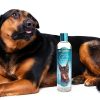 Bio Groom Pet Shampoo for Allergies Itching Natural Coconut-2
