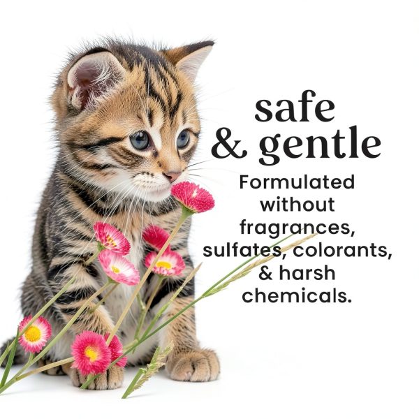 Pets People Tearless Kitten Shampoo Natural Origin Cat-4